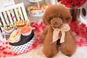✨面接30分で即日体験入店OK！✨(ギャルズネットワークのお店ブログ)