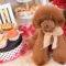 ✨面接30分で即日体験入店OK！✨(ギャルズネットワークのお店ブログ)